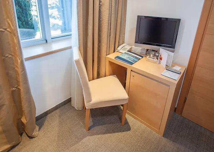 Aminess Vival Maestral