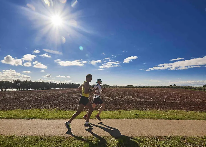 Szálloda Aminess Vival Maestral