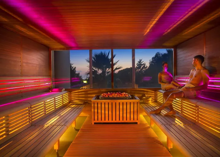 Aminess Vival Maestral